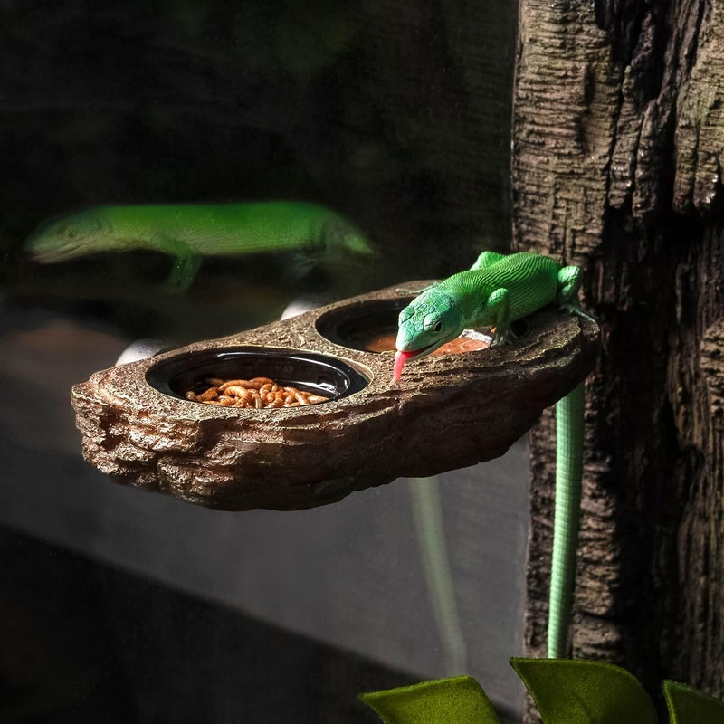 Oiibo Magnetic Reptile Feeder Ledge, Crested Gecko Feeding Ledge with 6PCS Food Cups Reptile Food Dish Water Bowl Tank Accessories for Bearded Dragon Chameleon Lizard Snake - Image 5
